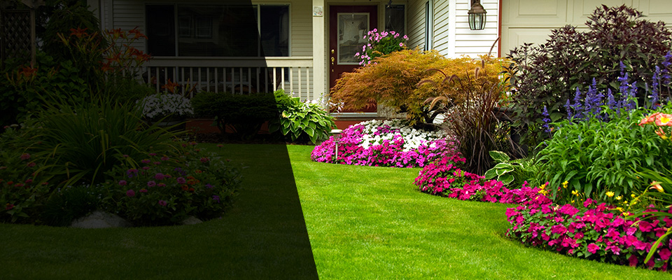 Pine Brook Landscapers
