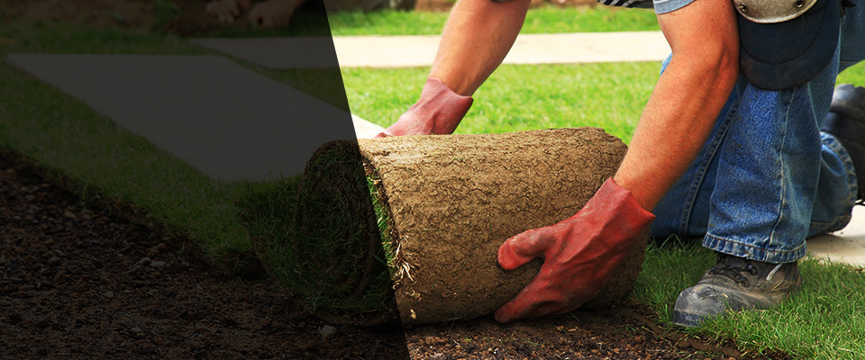 Pine Brook Landscapers